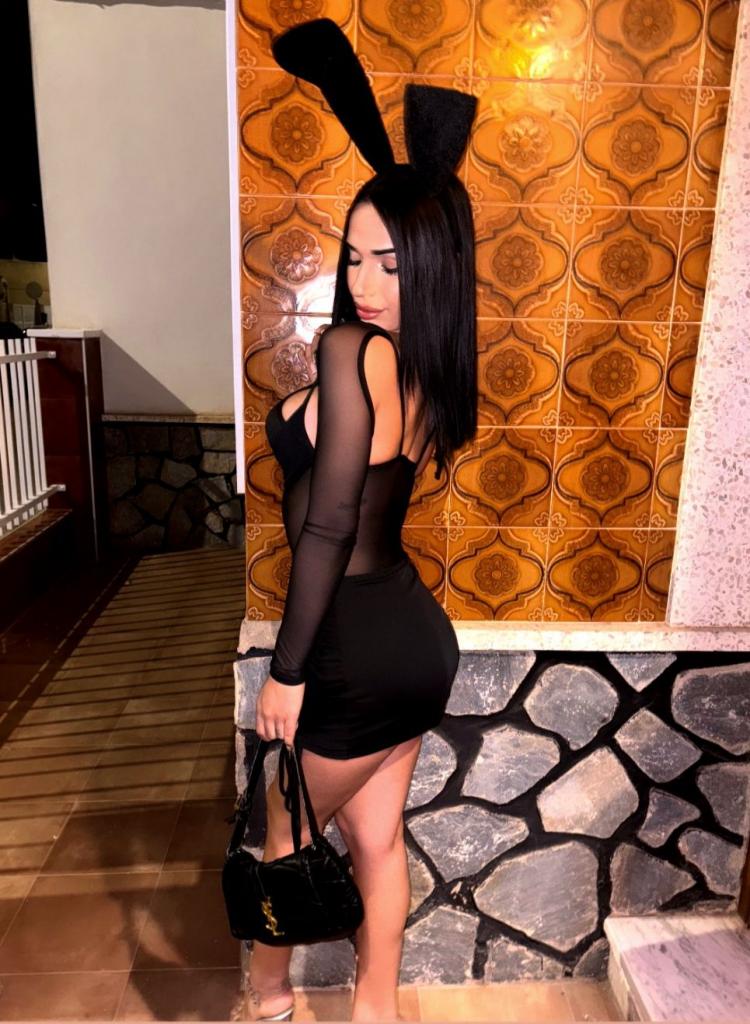 Travesti en Alicante: 