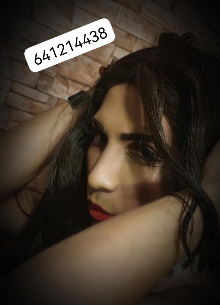 Travesti en Tenerife: 