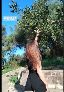 Virtual en Guadalajara: 