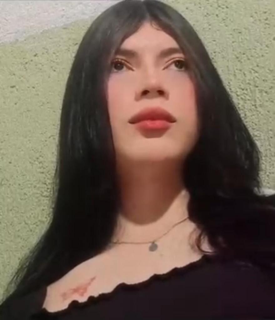Travesti en Guipúzcoa: 