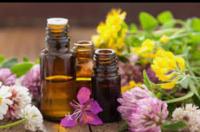 614077693: Chica busca chico en Sevilla