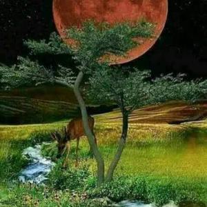 Chica busca chico en Huelva: 