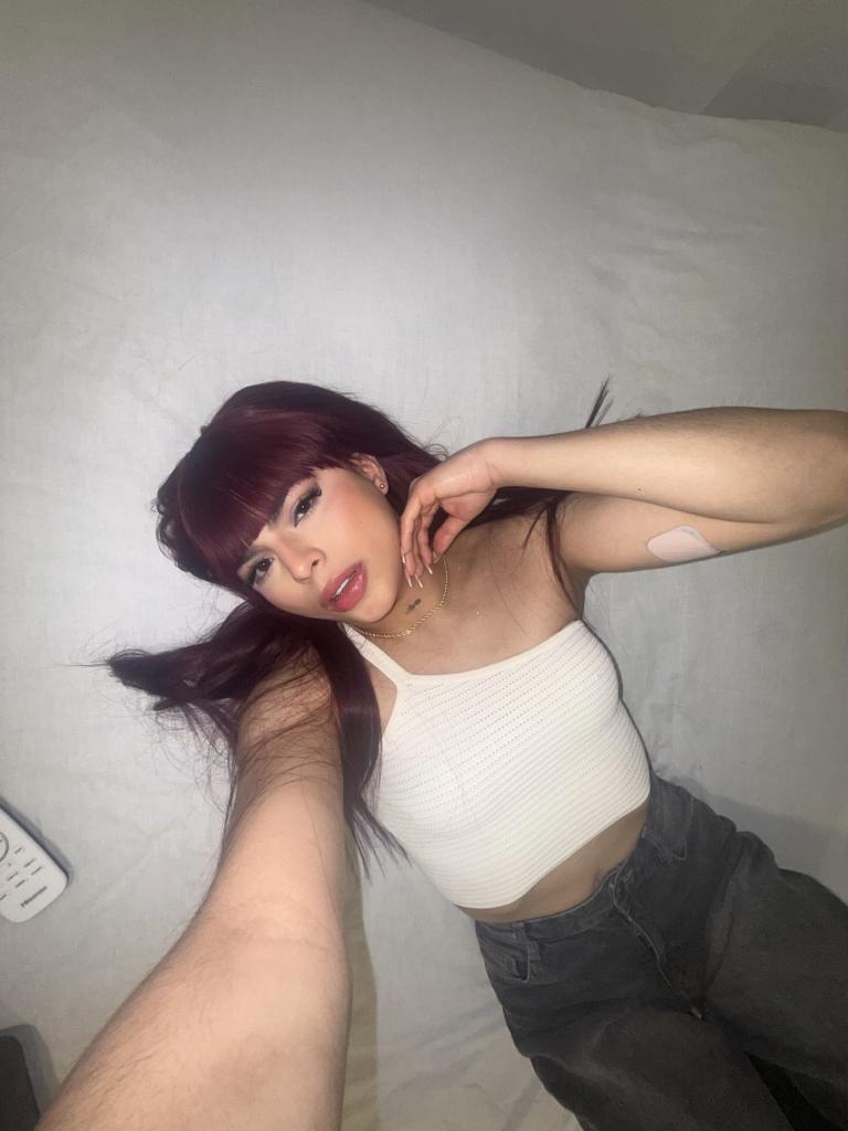 Transexual en Guipúzcoa: Transexuales y Travestis