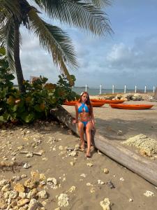 614185118: Virtual en Valencia