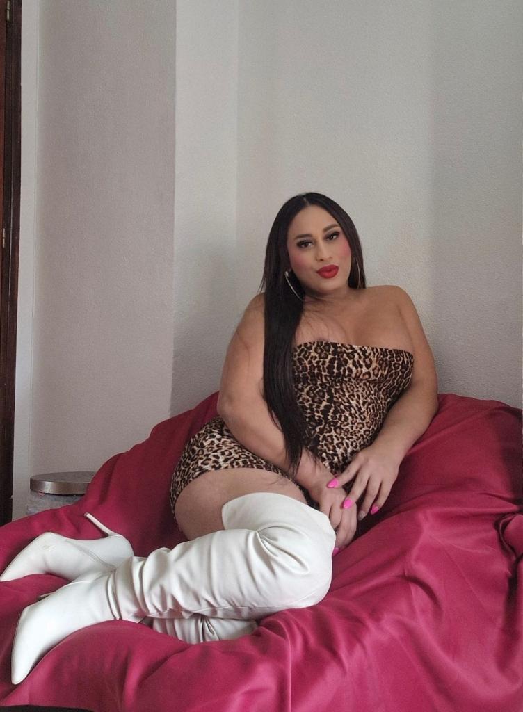 611275347: Travesti en León