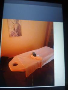 632271731: Chica busca chico en Cantabria