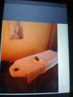 632271731: Chica busca chico en Cantabria