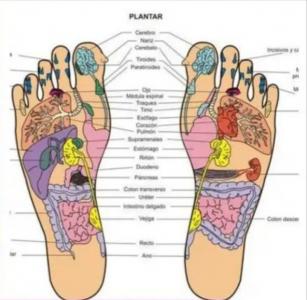 637184568: Chica busca chico en Alicante