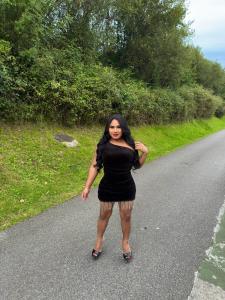 666007641: Travesti en Guipúzcoa