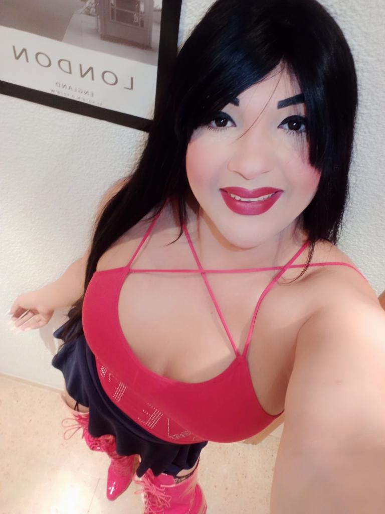 Travesti en Castellón: 