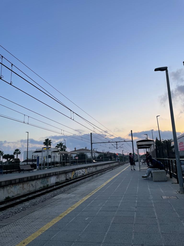 Virtual en Mallorca: 