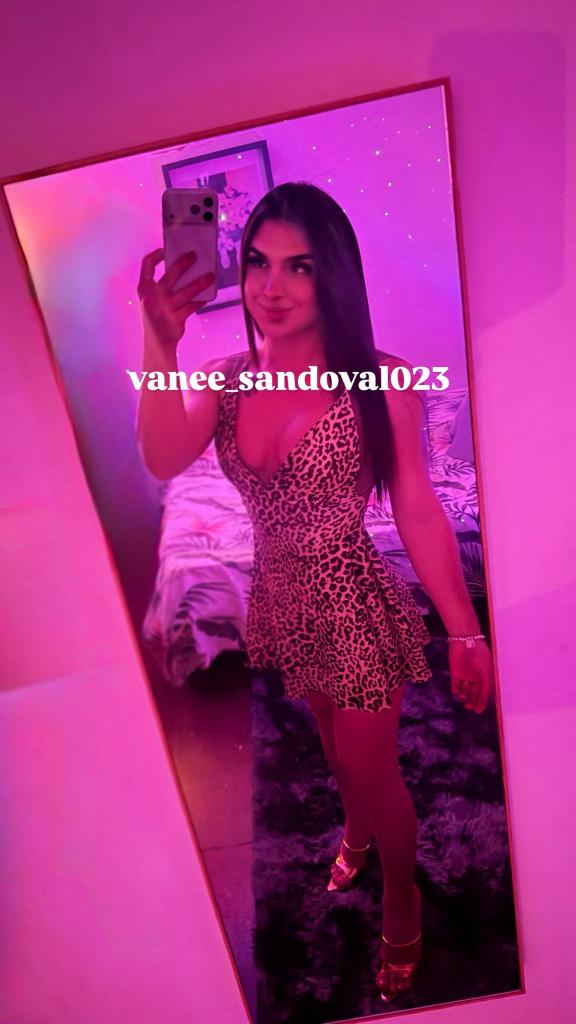 Travesti en Barcelona: 