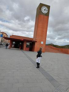 Chica busca chico en Teruel: 