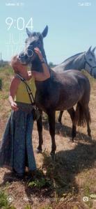 Chica busca chico en Mallorca: 