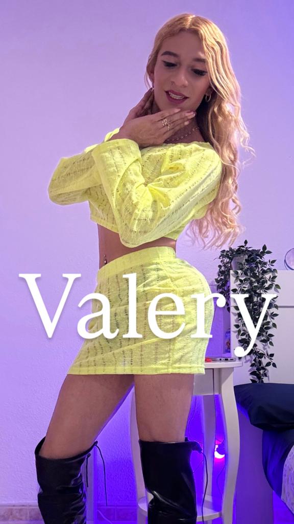 604283433: Transexual en Palencia