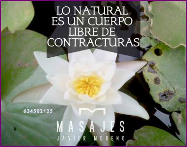 Chico busca chica en Sevilla: 