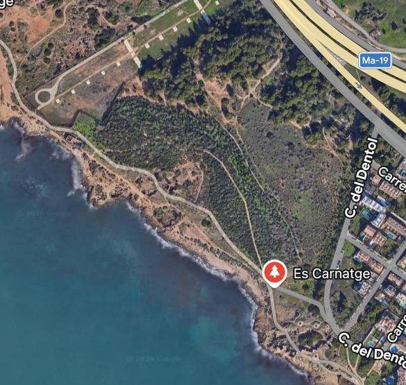 Chica busca chico en Mallorca: 