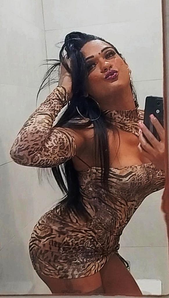 Travesti en Navarra: 