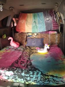 Chico busca chica en Sevilla: 