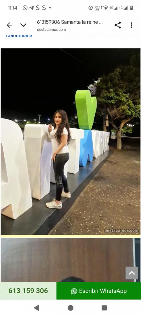 613159306: Virtual en Vizcaya