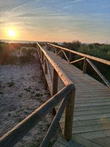 Chico busca chica en Cádiz: 