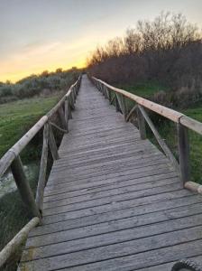 624358453: Chico busca chica en Cádiz