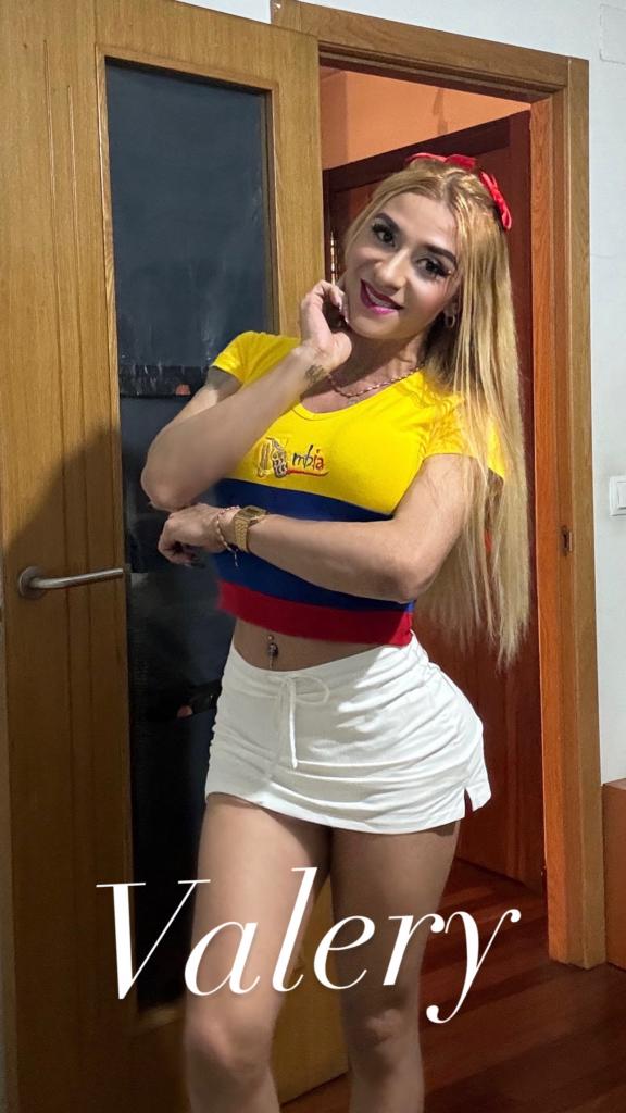 Transexual en Palencia: 