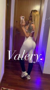 604283433: Virtual en Palencia