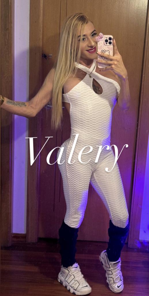 Travesti en Palencia: 