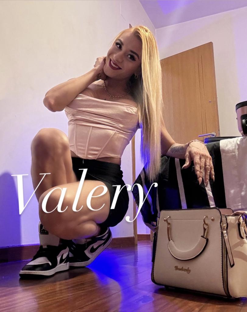 604283433: Virtual en Palencia