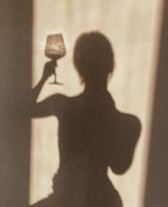 Chica busca chico en Asturias: 