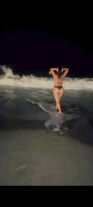 687740644: Chica busca chico en Álava