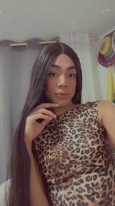 666108501: Travesti en Madrid