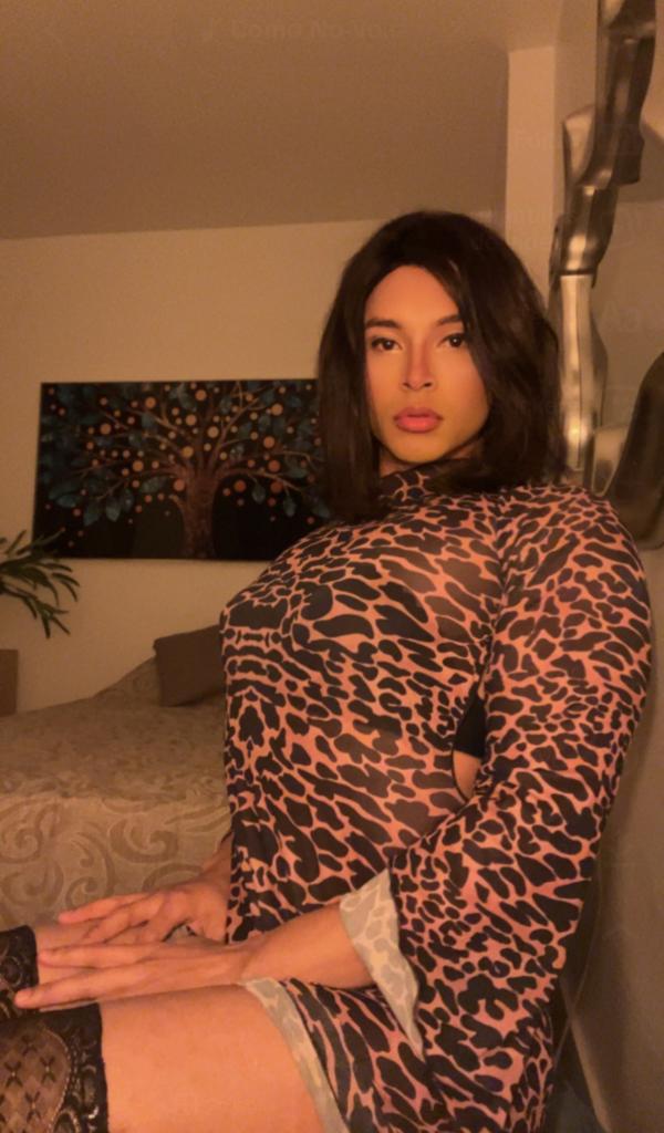 Transexual en Madrid: 