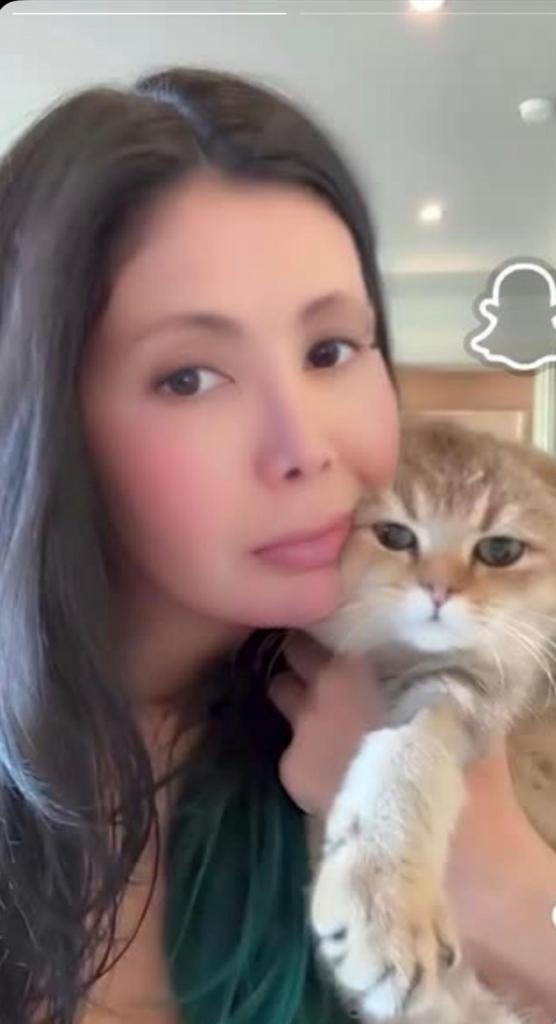 Travesti en Navarra: 