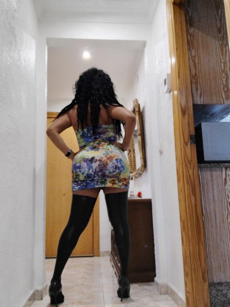 Travesti en Tarragona: 