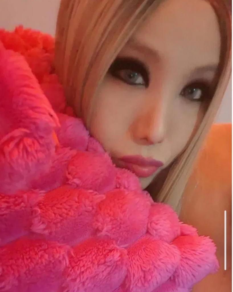 Transexual en Cádiz: 