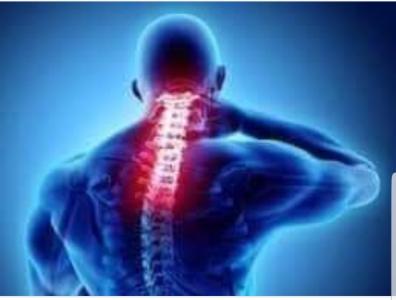 Chica busca chico en Zaragoza: 