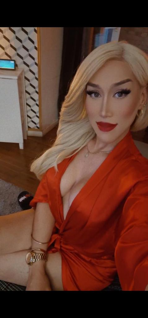 Travesti en Barcelona: 