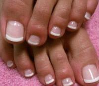 613127277: Transexual en Las Palmas