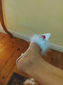 604230421: Chica busca chico en Cantabria