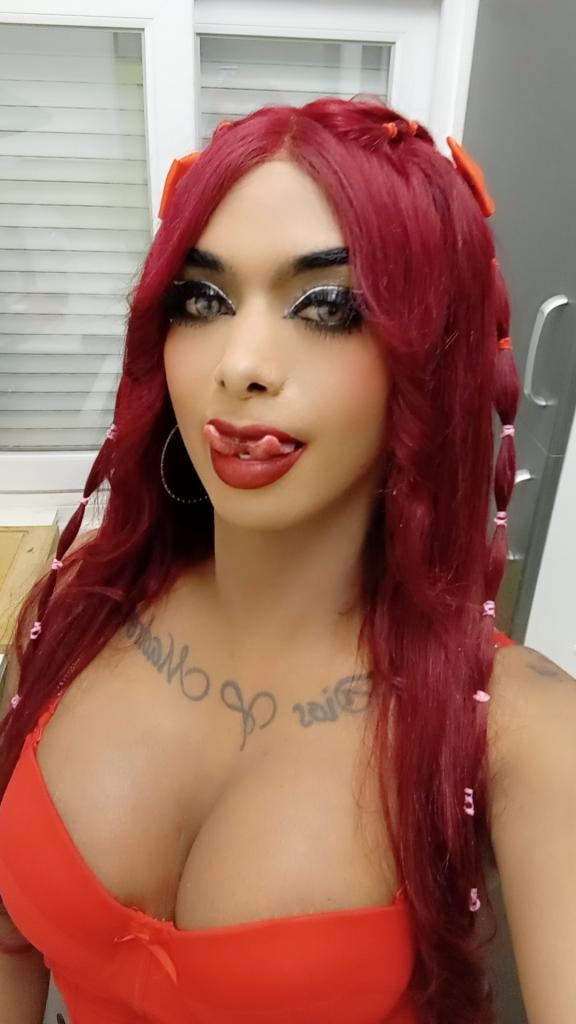 Transexual en Navarra: 