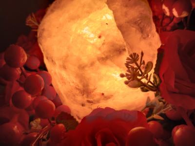 Virtual en Mallorca: 