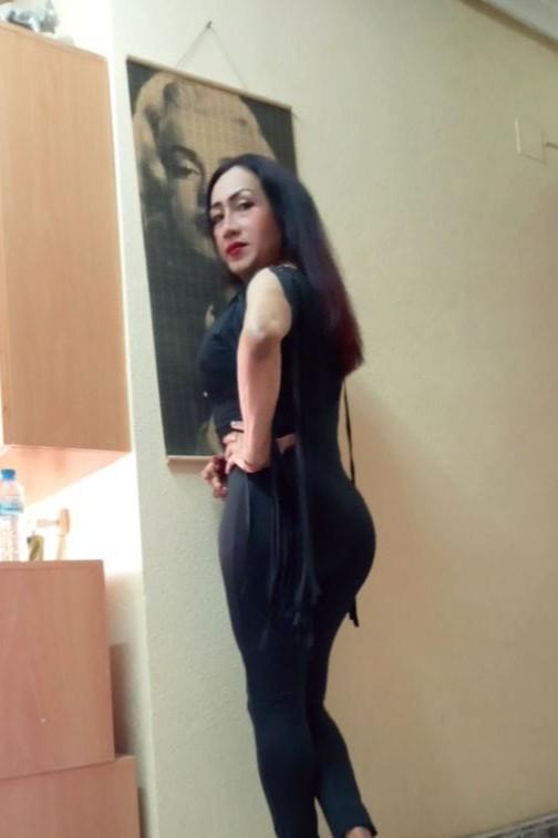 Transexual en Alicante: 