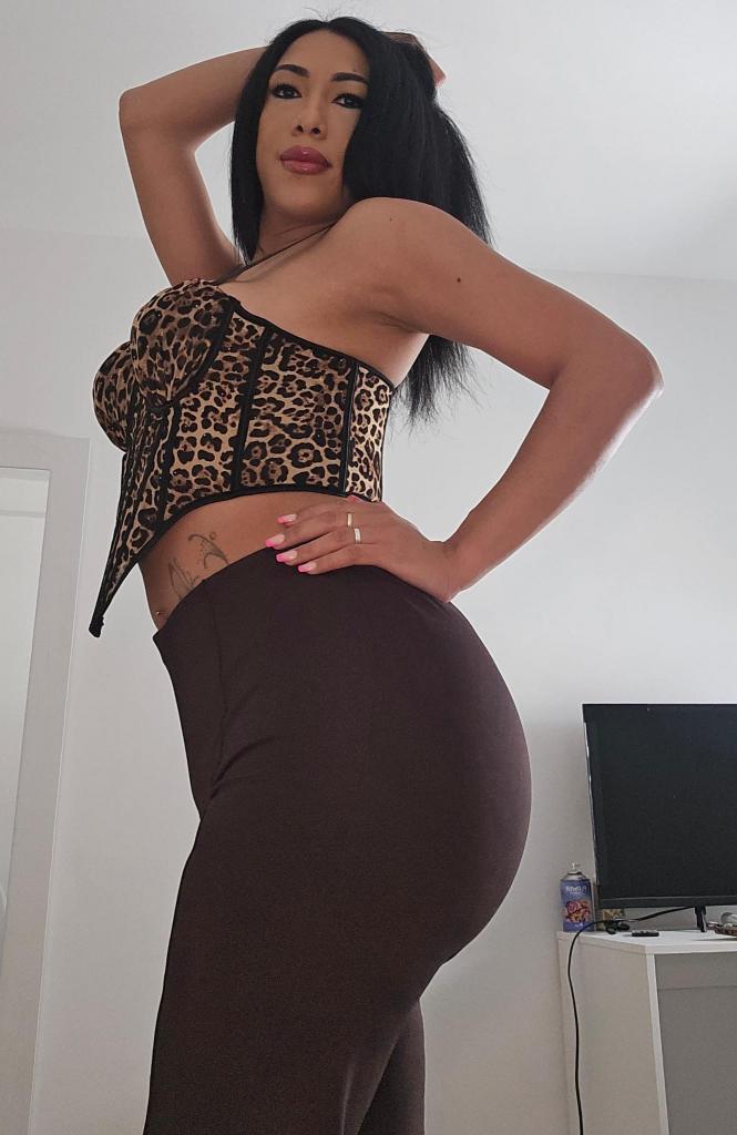 Travesti en Alicante: 