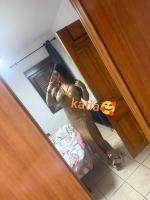 612246654: Travesti en Vizcaya