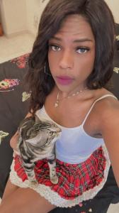 Transexual en Alicante: 