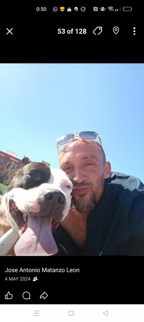 Chico busca chica en Las Palmas: 