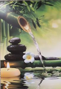 Chica busca chico en Asturias: 