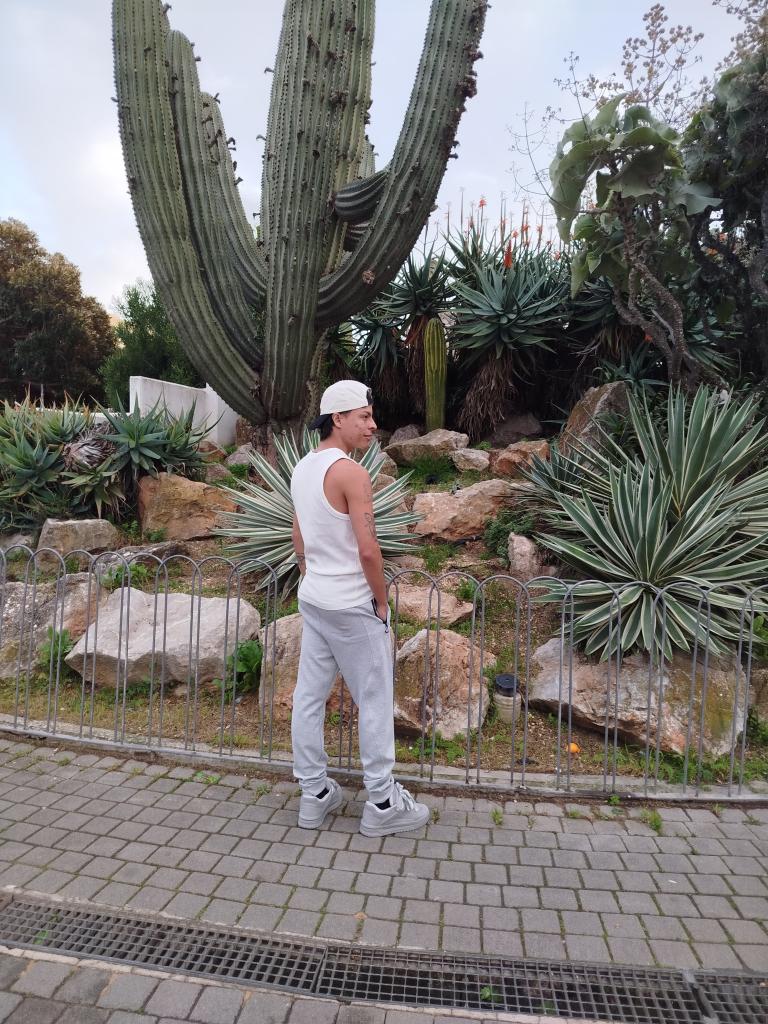 Chico busca chica en Ibiza: 